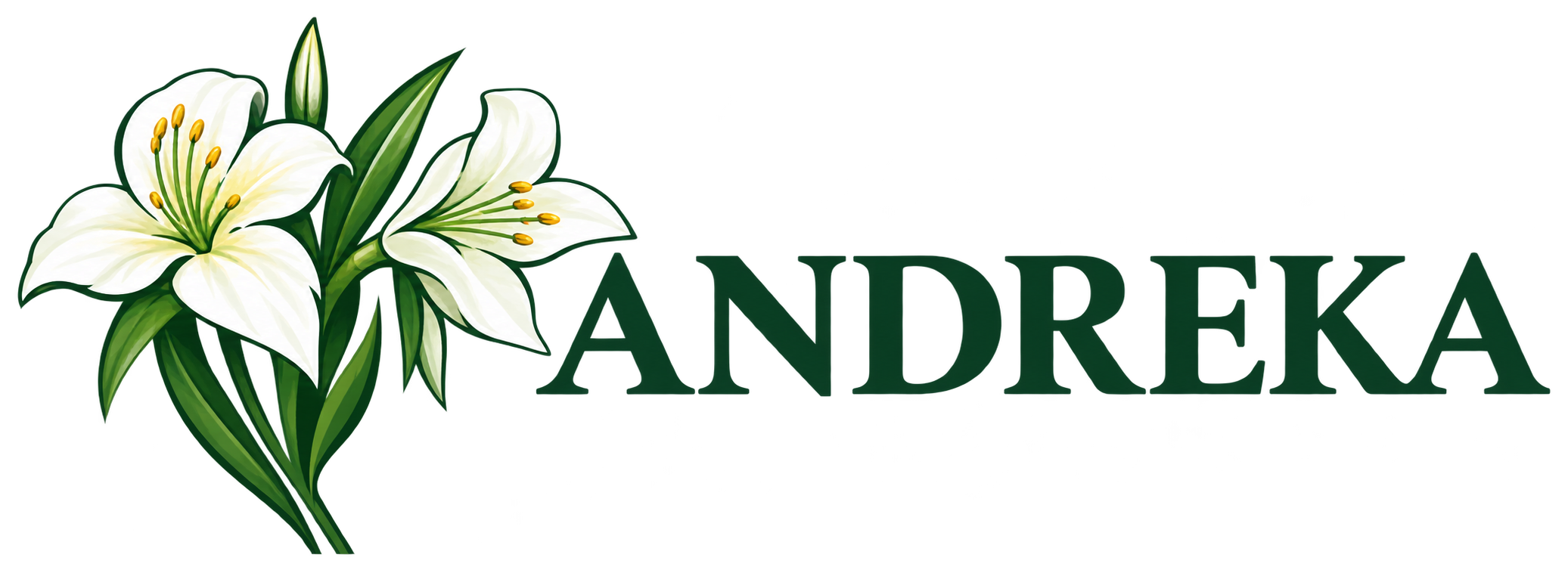 Andreka – städning, golvvård och fönsterputs